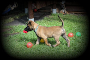 Informationen über Azzra vom HeXXentanz