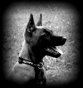 Azzra vom HeXXentanz