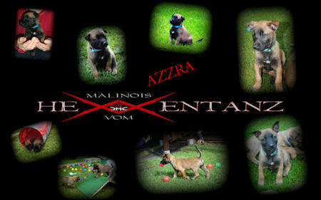 Azzra vom HeXXentanz