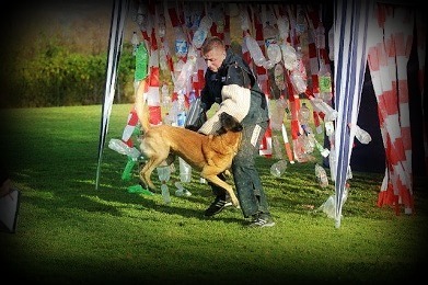 Chess vom Hause Ripp