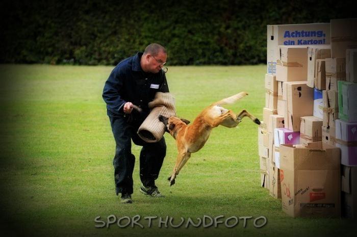 Chucky von der Silberschnauze