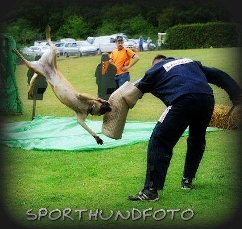 Chucky von der Silberschnauze