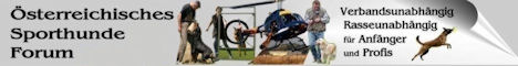 Sporthundeforum