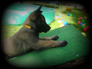 Informationen über Abby vom HeXXentanz