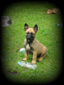 Ancho vom HeXXentanz