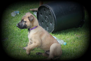 Alvaro vom HeXXentanz