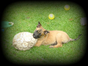 Alvaro vom HeXXentanz