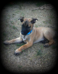 Ancho vom HeXXentanz