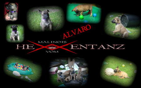 Alvaro vom HeXXentanz