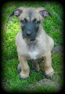 Ancho vom HeXXentanz