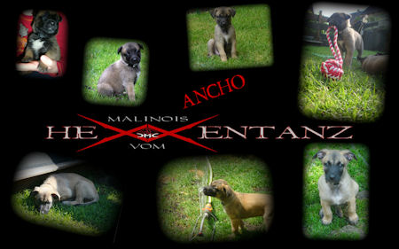 Ancho vom HeXXentanz