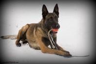 Ory Lubinov Slovakia