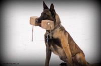 Ory Lubinov Slovakia